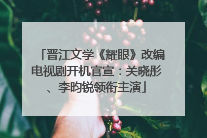 晋江文学《耀眼》改编电视剧开机官宣：关晓彤、李昀锐领衔主演