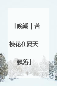 晚潮｜苦楝花在夏天飘落
