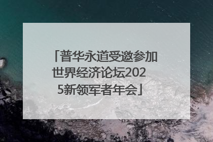 普华永道受邀参加世界经济论坛2025新领军者年会