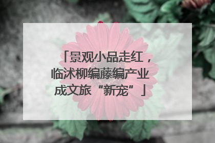 景观小品走红，临沭柳编藤编产业成文旅“新宠”