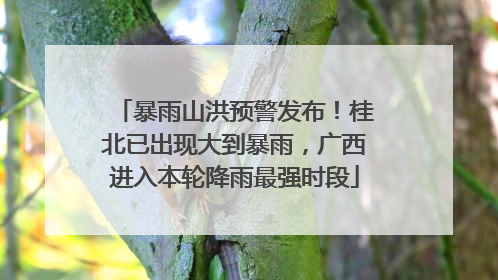 暴雨山洪预警发布！桂北已出现大到暴雨，广西进入本轮降雨最强时段