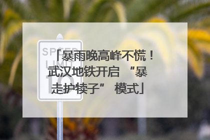 暴雨晚高峰不慌！武汉地铁开启 “暴走护犊子” 模式