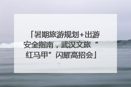 暑期旅游规划+出游安全指南，武汉文旅“红马甲”闪耀高招会