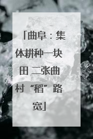 曲阜：集体耕种一块田 二张曲村“稻”路宽