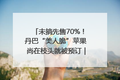 未摘先售70%！丹巴“美人脆”苹果尚在枝头就被预订｜长征路上看四川
