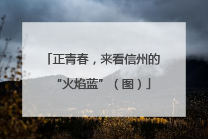正青春，来看信州的“火焰蓝”（图）