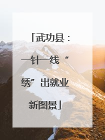 武功县：一针一线“绣”出就业新图景
