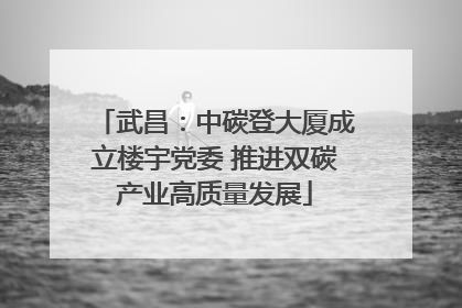 武昌：中碳登大厦成立楼宇党委 推进双碳产业高质量发展