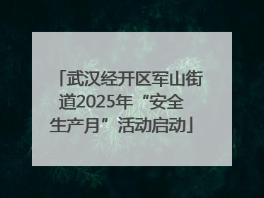 武汉经开区军山街道2025年“安全生产月”活动启动