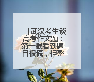 武汉考生谈高考作文题：第一眼看到题目很慌，但整体写得较为流畅