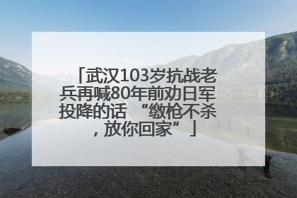 武汉103岁抗战老兵再喊80年前劝日军投降的话 “缴枪不杀，放你回家”