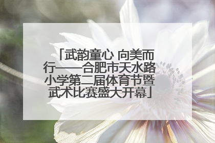 武韵童心 向美而行——合肥市天水路小学第二届体育节暨武术比赛盛大开幕