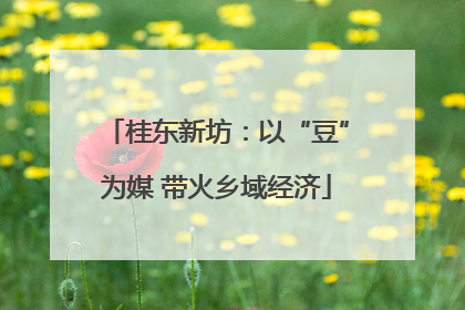 桂东新坊：以“豆”为媒 带火乡域经济