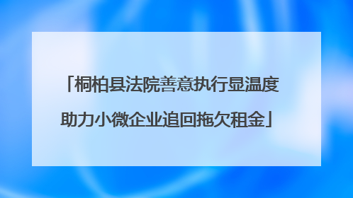 桐柏县法院善意执行显温度 助力小微企业追回拖欠租金