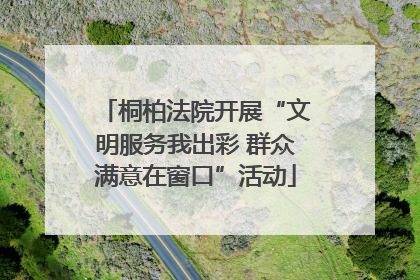 桐柏法院开展“文明服务我出彩 群众满意在窗口”活动