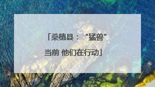 桑植县：“猛兽”当前 他们在行动