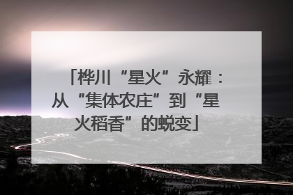 桦川“星火”永耀：从“集体农庄”到“星火稻香”的蜕变