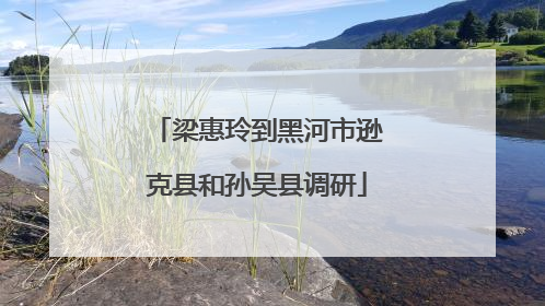 梁惠玲到黑河市逊克县和孙吴县调研