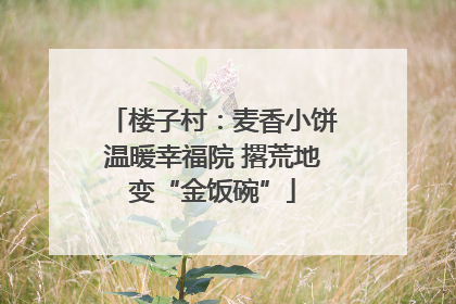 楼子村：麦香小饼温暖幸福院 撂荒地变“金饭碗”