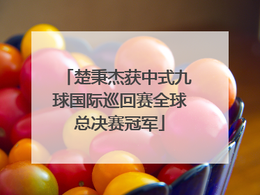楚秉杰获中式九球国际巡回赛全球总决赛冠军