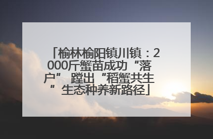 榆林榆阳镇川镇：2000斤蟹苗成功“落户” 蹚出“稻蟹共生”生态种养新路径