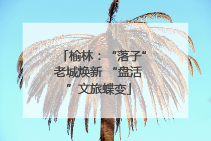 榆林：“落子”老城焕新 “盘活”文旅蝶变
