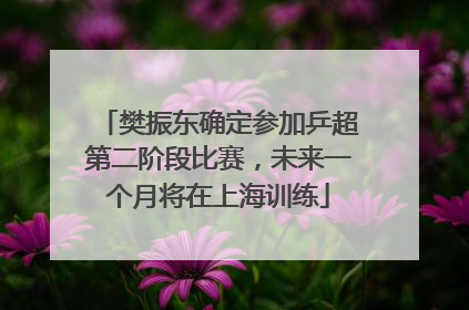 樊振东确定参加乒超第二阶段比赛，未来一个月将在上海训练