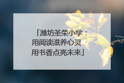 潍坊圣荣小学：用阅读滋养心灵 用书香点亮未来