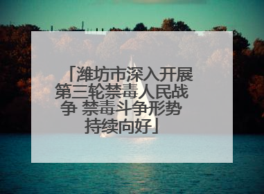潍坊市深入开展第三轮禁毒人民战争 禁毒斗争形势持续向好