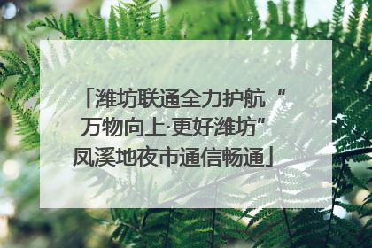 潍坊联通全力护航“万物向上·更好潍坊”凤溪地夜市通信畅通