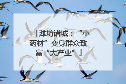 潍坊诸城：“小药材”变身群众致富“大产业”