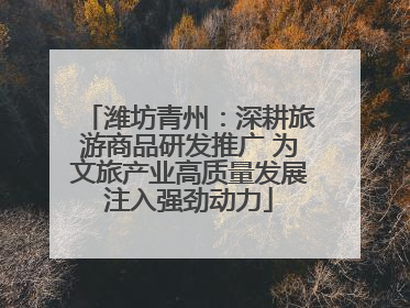 潍坊青州：深耕旅游商品研发推广 为文旅产业高质量发展注入强劲动力