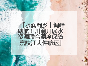 水润蜀乡丨调峰助航！川渝开展水资源联合调度保障嘉陵江大件航运