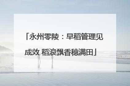 永州零陵：早稻管理见成效 稻浪飘香穗满田