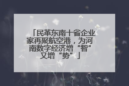民革东南十省企业家再聚航空港，为河南数字经济增“智”又增“势”