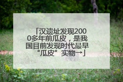 汉遗址发现2000多年前瓜皮，是我国目前发现时代最早“瓜皮”实物→