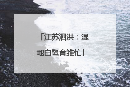 江苏泗洪：湿地白鹭育雏忙