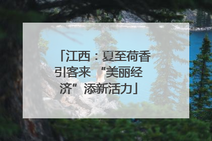 江西：夏至荷香引客来 “美丽经济”添新活力