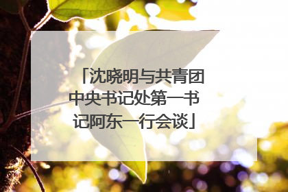 沈晓明与共青团中央书记处第一书记阿东一行会谈