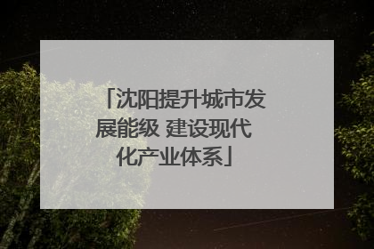 沈阳提升城市发展能级 建设现代化产业体系