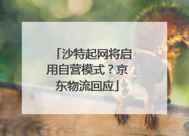 沙特起网将启用自营模式？京东物流回应