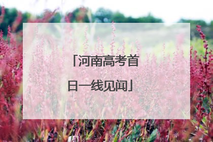 河南高考首日一线见闻