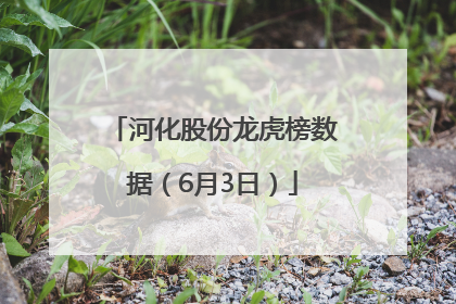 河化股份龙虎榜数据（6月3日）