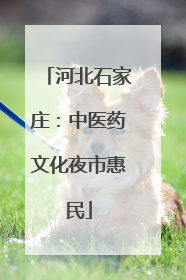 河北石家庄：中医药文化夜市惠民