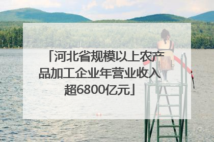 河北省规模以上农产品加工企业年营业收入超6800亿元