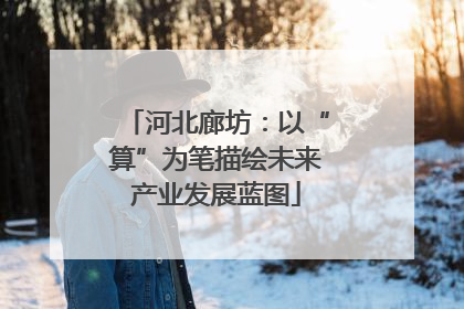 河北廊坊：以“算”为笔描绘未来产业发展蓝图