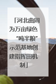 河北曲周为万亩绿色“吨半粮”示范基地创建指挥田机制