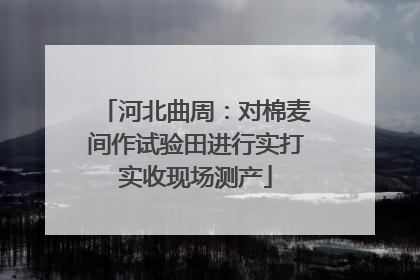 河北曲周：对棉麦间作试验田进行实打实收现场测产