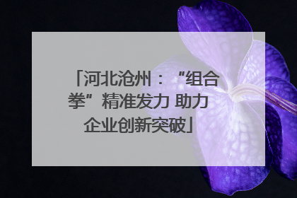 河北沧州：“组合拳”精准发力 助力企业创新突破