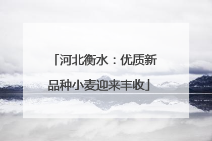 河北衡水：优质新品种小麦迎来丰收